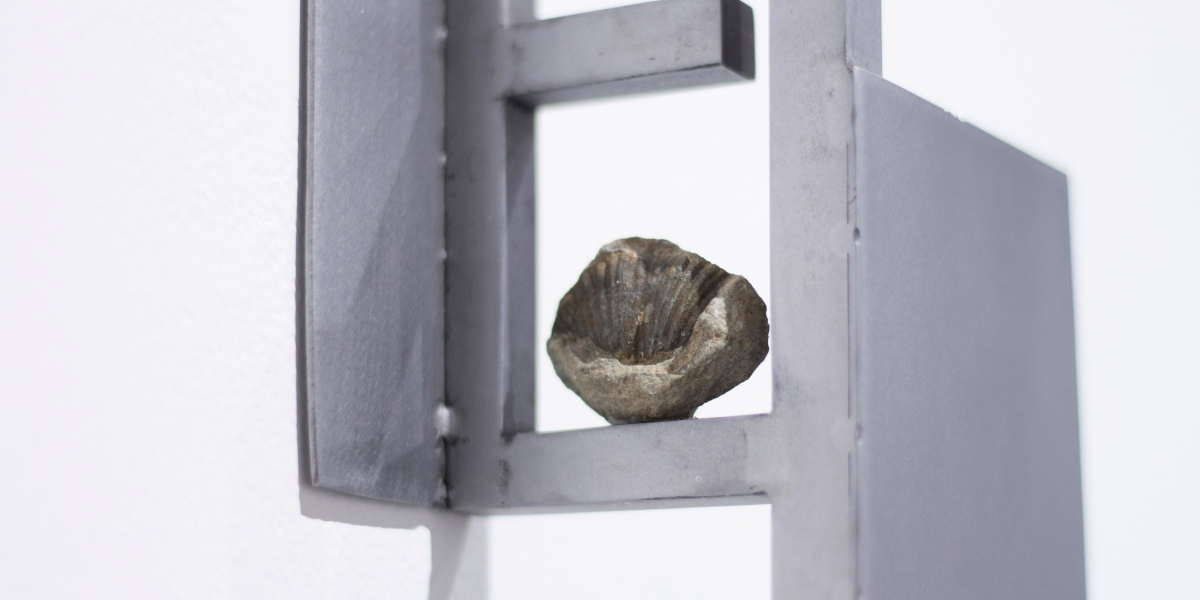 Stripped of tears, the bones exposed 